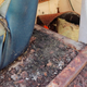 Image for article titled I Bought The Crappiest Jeep On Earth. Cleaning Its Interior Was Horrifying